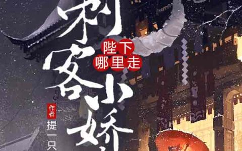 求小说《刺客小娇娘：陛下哪里走》全文免费阅读资源！