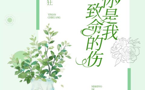 楚伊人沈昱安小说最新章节列表