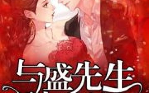 主角叫苏檬苏妙《与盛先生结婚的日子》书籍章节列表