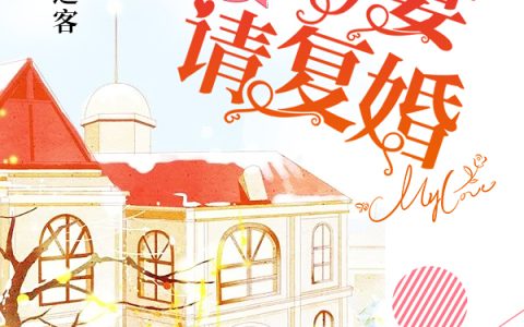 主角叫唐穆宁林宛白《误惹前夫，前妻请复婚！》书籍章节列表