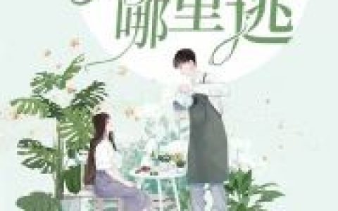 主角叫唐诗诗江豪安《重生影后：妈咪哪里逃》书籍章节列表