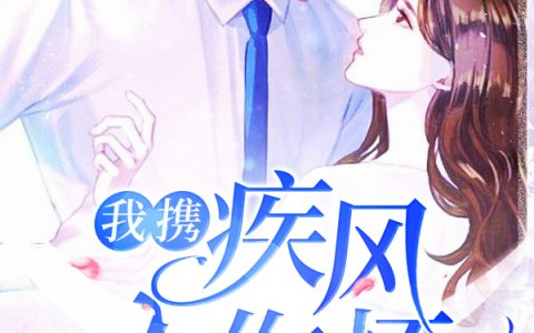 求小说《我携疾风入你怀》全文免费阅读资源！