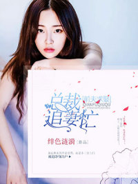 前夫求娶:总裁追妻忙