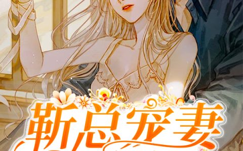 主角叫苏小小靳穆炀《靳总宠妻又宠娃》书籍章节列表