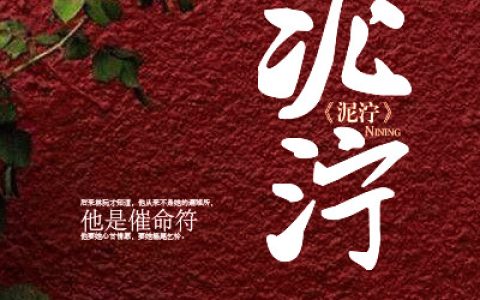 林阮周海山林如月完整小说(全文在线阅读)《泥泞》