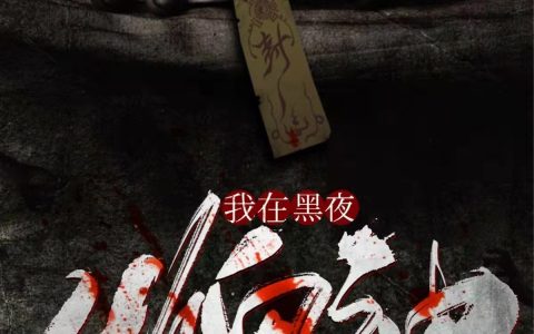 小说完整版免费阅读我在黑夜收鬼神