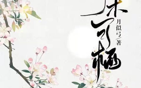 乔木可栖乔敏嘉宋世谨小说全文免费阅读