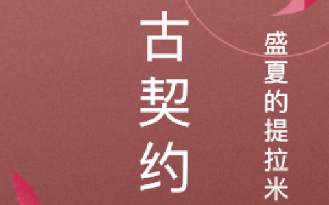 林曼徐钰泽《怀古契约》小说免费阅读