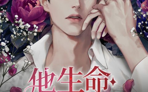 江励城林婧全文在线阅读
