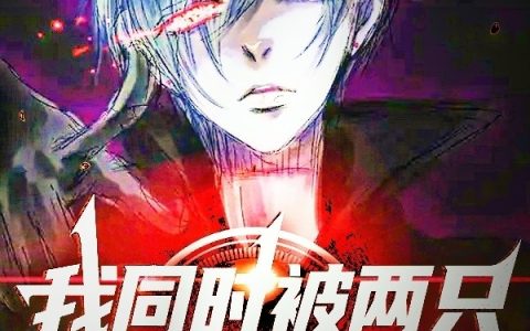 刘洛汐夏之光小说在线阅读