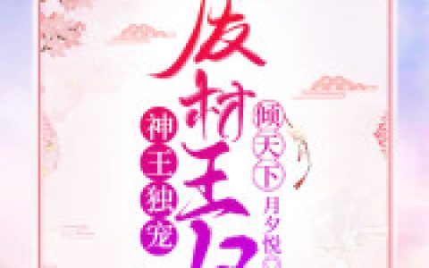 小说在线阅读璃王妃楚玄辰免费