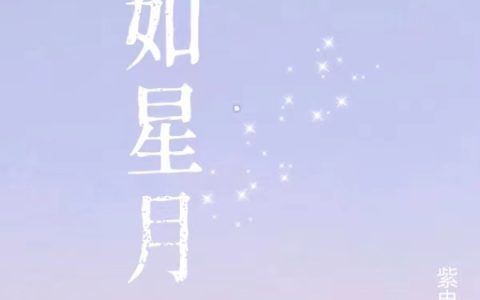 愿如星月陈清扬的小说小说免费阅读