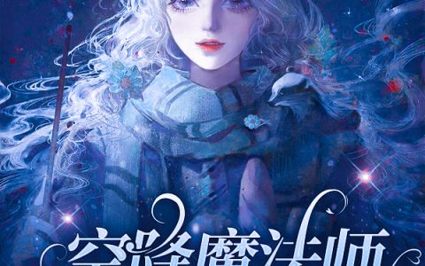 求诺米李泽言小说免费资源