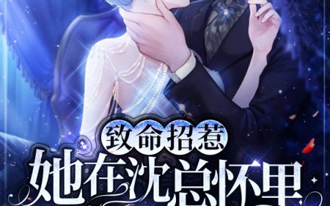 致命招惹：她在沈总怀里肆意纵火整本免费徐宴清沈观澜