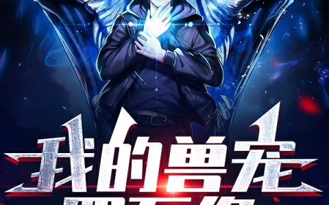小说我的兽宠四不像《黑白相间的面具》在线全文免费阅读