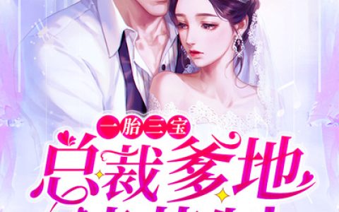 一胎三宝：总裁爹地请签收(完整版)全文免费阅读