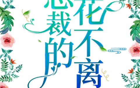 安梦晗和陆谨川小说最新章节小说免费阅读