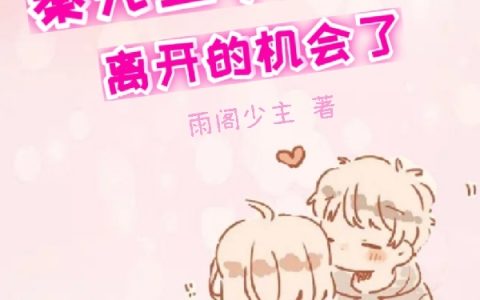 小说《秦先生，你没有离开的机会了》在哪里看？
