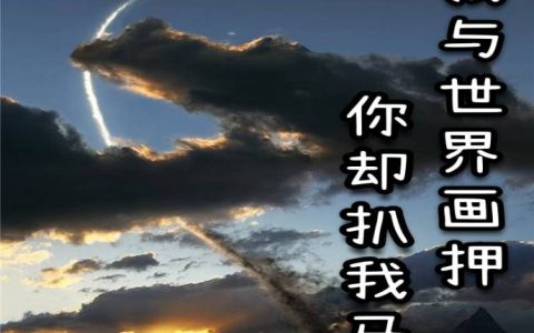 免费看全篇小说在线阅读《我与世界画押，你却扒我马甲》