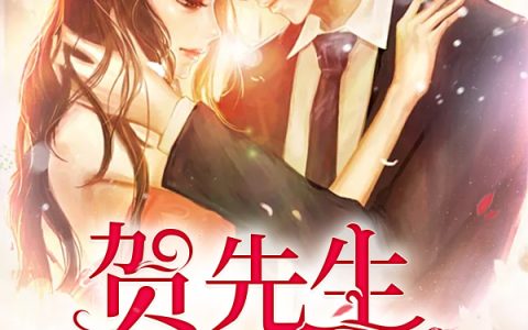 小雪 清江《深爱刻骨：贺先生，请签字》小说全文免费阅读