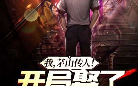 我！茅山传人，开局娶了富婆最新章节列表