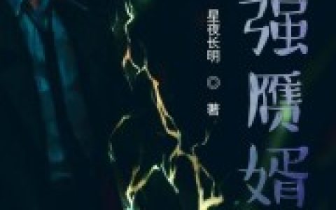 最强赝婿最新章节列表