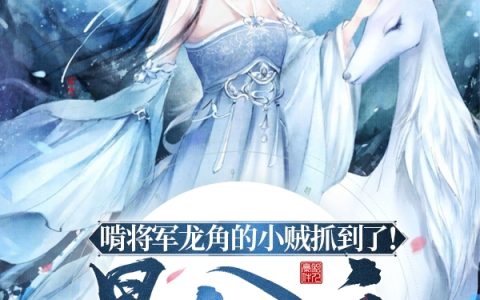 完整版小说啃将军龙角的小贼抓到了！是公主