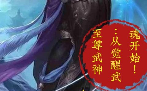 高珣悬刀免费在线阅读至尊武神：从觉醒武魂开始！