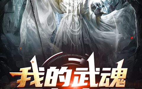 小说《我的武魂只有光环》全文免费阅读