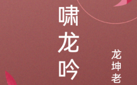 小说《虎啸龙吟》宋帅哥是谁完整版免费阅读