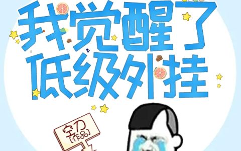 我觉醒了低级外挂李沐空刀全文免费阅读