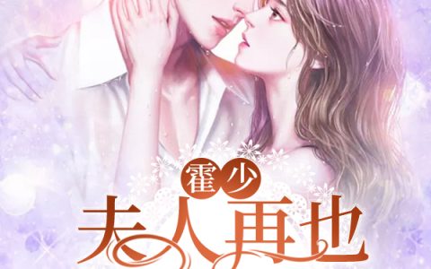 霍斯年《霍少，夫人再也不能说话了》在线资源