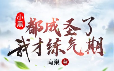 小黑都成圣了，我才练气期？在哪里可以免费阅读