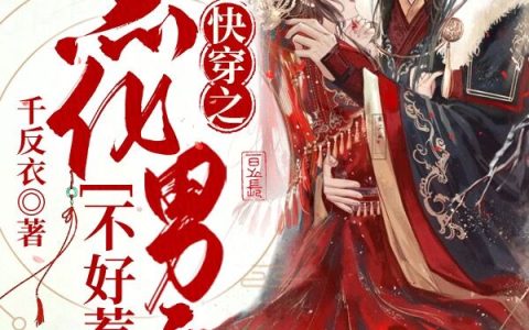 快穿之黑化男主不好惹小说完整版免费阅读禾千念什么