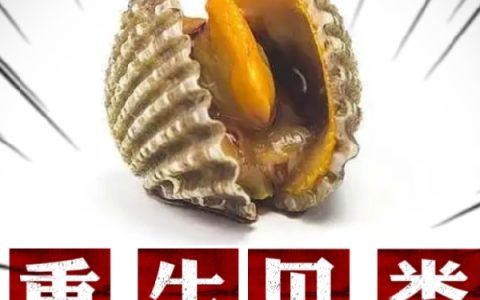 重生贝类，无限进化成为深海霸主全文免费阅读蔡小八蔡小八