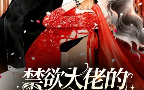 免费看全篇小说顾远、夏婉《禁欲大佬的闪婚妻闹着要离婚》