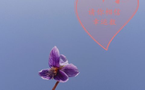 最新章节《请你相信幸运数》在线阅读