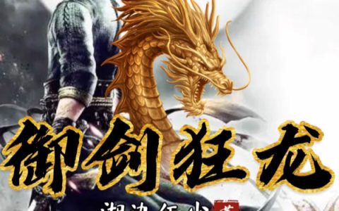 新月格格在线阅读《御剑狂龙》