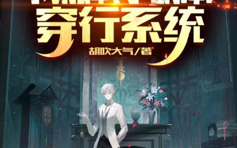 我加载了副本穿行系统在哪里可以看？