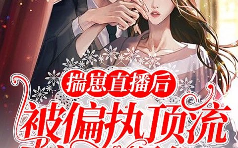 在线阅读《揣崽直播后，被偏执顶流宠到爆红》叶恬恬小说