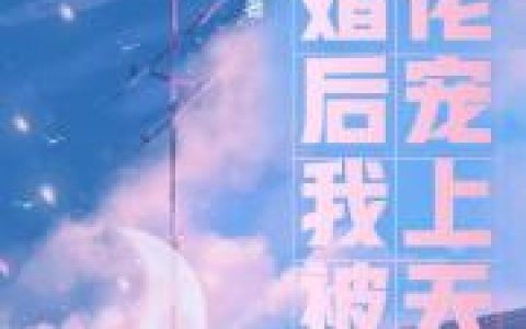 宋秋尹柳诗雅退婚后我被大佬宠上天全文免费在线阅读