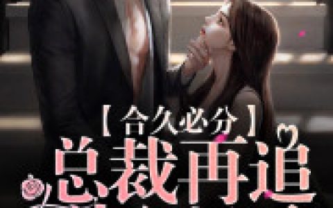 谢桑周存声百度云小说最新章节列表《合久必分：总裁再追就犯规了》