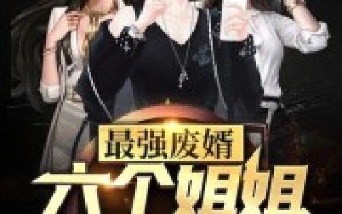 小说张辰兵与李雅琴(最强废婿：六个姐姐是大佬)