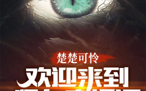 楚楚可怜：欢迎来到猛鬼直播间小说在线阅读资源