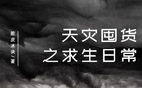 夏禾陆宴小说免费资源天灾囤货之求生日常