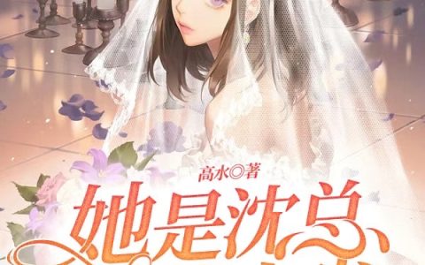 主人公叫陈念川沈嘉喻在线资源