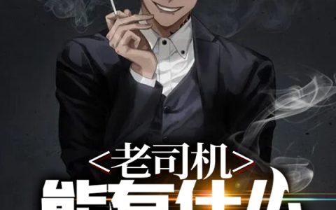 老司机能有什么坏心思？小说免费在线阅读