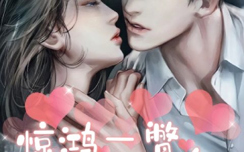 小说《惊鸿一瞥，终是你》全文免费阅读资源！