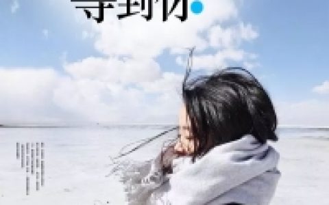 陆景阳景阳小说最新章节列表