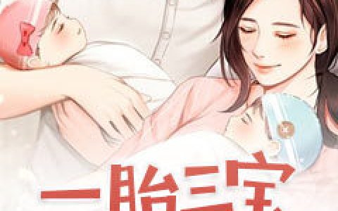 求小说《一胎三宝天价妻》全文免费阅读资源！